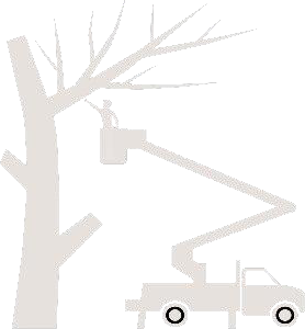 McCormick's Property Maintenance Logo